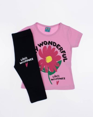 2024_04_19_0089942 2024_04_19_0089942