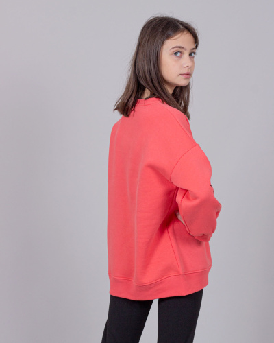 DMB KIDS 9467 Свитшот утепленный DMB KIDS 9467 Свитшот утепленный фото